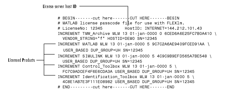 flexlm license.dat file